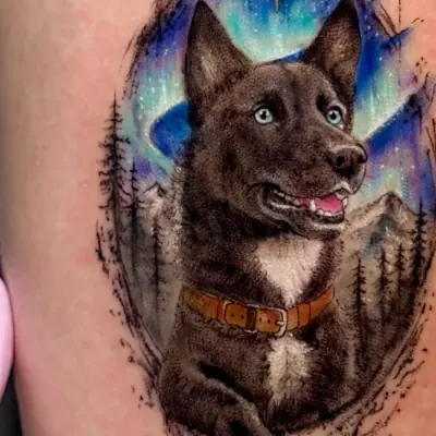 Togo — köpek portre dövmesi (micro realism), Merve Şengün