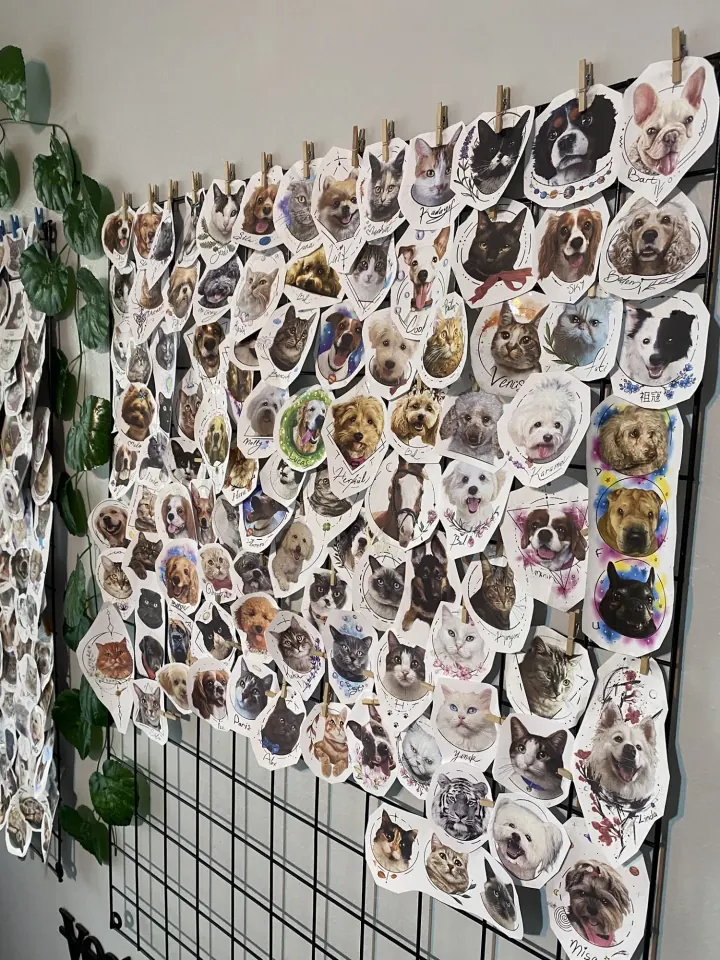 MŞ Tattoo stüdyosu, Moda — Yüzlerce can dostu, tek bir duvar